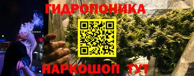 трава Будённовск