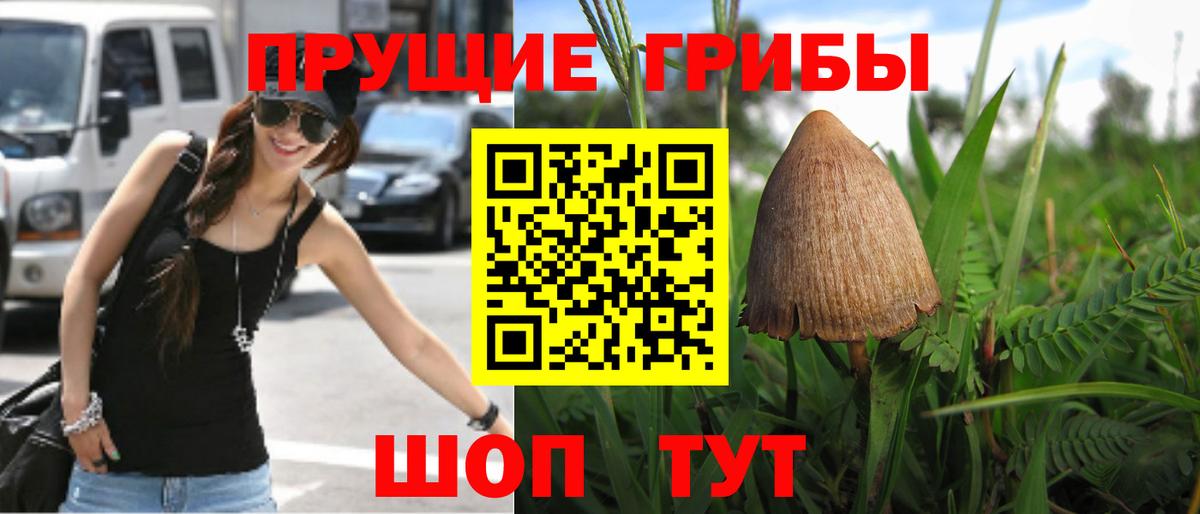 Полысаево  Галлюциногенные грибы Psilocybe  Вход с VPN 